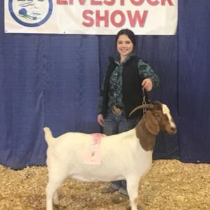 Meet your Posher, Bailey